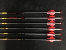 Gold Tip Hunter 340 Carbon Arrows  w/ 2" Raptor-X Vanes 6pk BRAND NEW