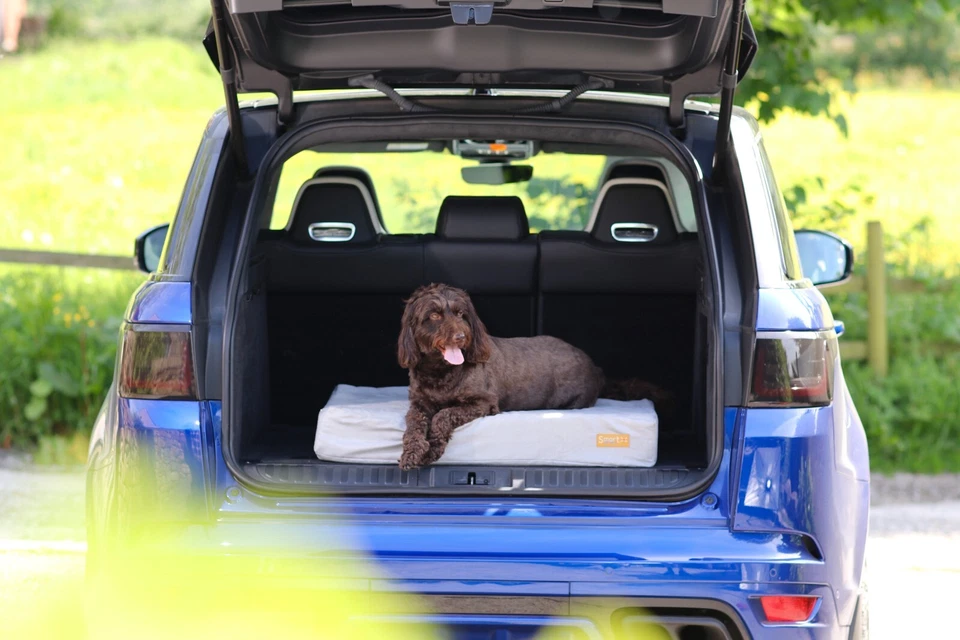 Smart Pet Beds - Dog/Cat - High Quality - Natural - Handmade - Bed for Life - Image 3 of 4