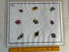 Vintage 1991 Spaulding Rogers Tattoo Flash Sheet D Series 35D Bugs