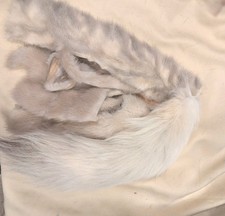 LOT OF GENUINE FOX TAIL MINK FUR FLY TYING 51