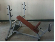 PALESTRA  SET ATTREZZI TECHNOGYM LINEA SILVER  VISTA E PIACIUTA