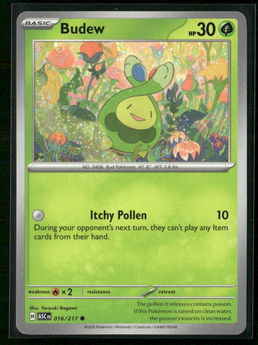 Budew - ME: Ascended Heroes 016/217 Regular NM