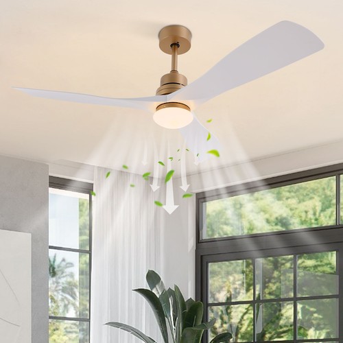 48 Inch Ceiling Fan Light Modern Chandelier Pendant Fan Lamp & Remote Control - Picture 6 of 18