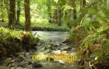Photo 6x4 Stream and river Glenarm forest After cascading over the water c2008