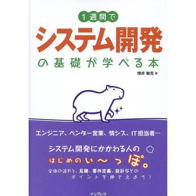 System Development Book Essential Basics for Ages 14+