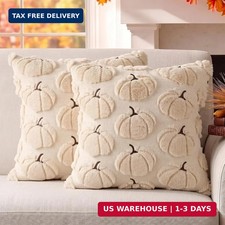 Fall Pillow Covers Pumpkin Fall Decor 18x18 Set of 2 Beige