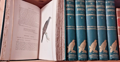 F. O. MORRIS/ HISTORY OF BRITISH BIRDS/ OISEAUX D'ANGLETERRE/ 400 planches/1903
