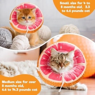 BENCMATE Cat Cone Recovery Collar for After Surgery Soft Pet Protective (Grapefruit, M)