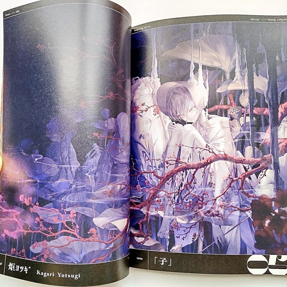 洋書 Visions of Arzach 【公式通販】