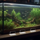 Foto 12 di 12