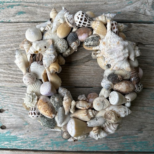Vintage Sea Shell Wreath 6 Inch Nautical Coastal Beachy Ocean Lake Earthy Decor
