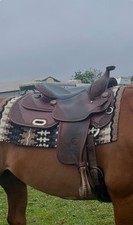 Billy Cook Pro-Reiner saddle 15.5"