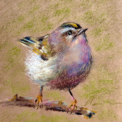 Bird Painting ORIGINAL Kinglet Art Cute Animal Oil Pastel Drawing 8x8'' by Muura