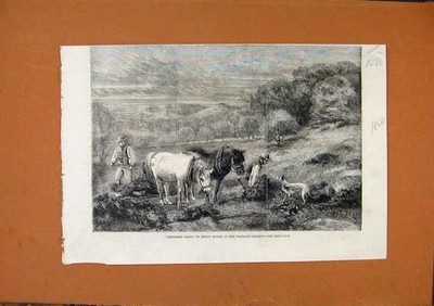Original alter antiker Druck Schlittenfarne Portland Galerie um 1860 viktorianisch