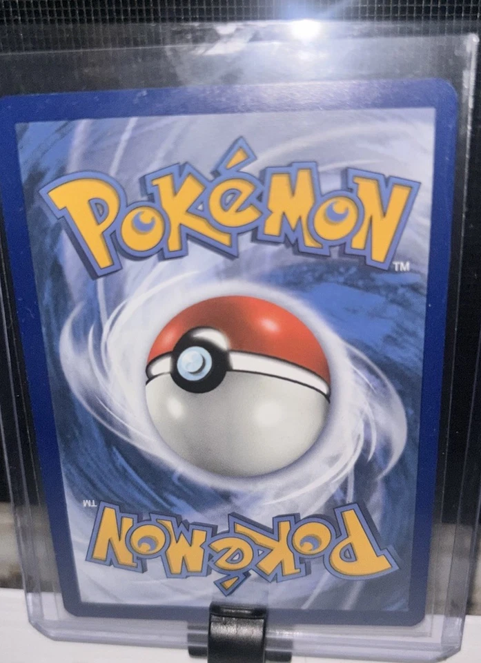 Cinccino - (Prerelease) SWSH009 SWSH: Sword & Shield Promo Cards Holo - Image 4 of 4