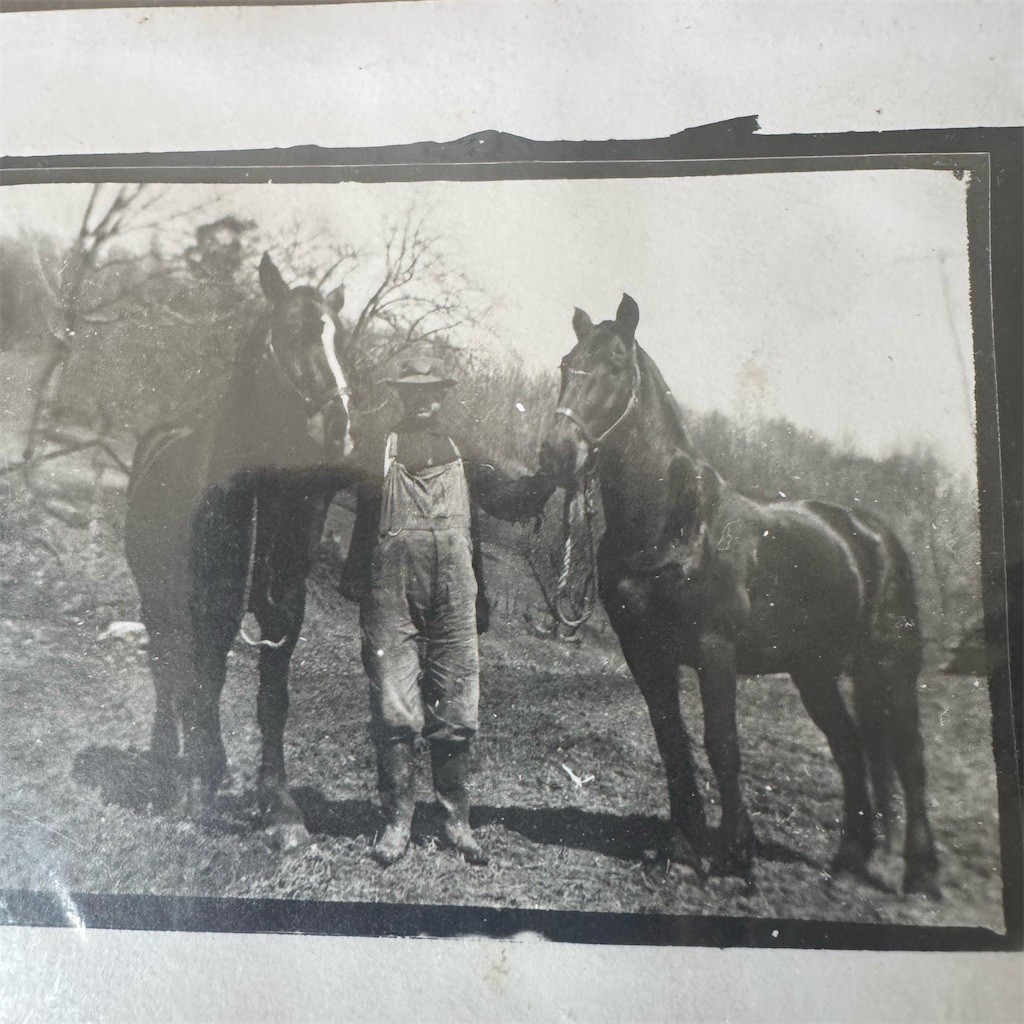 Vintage RPPC Postcard Farmer with Two Horses Rural Farm Scene Black White