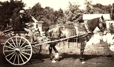 #ad #ad 1920 HORSE DRAWN CARRIAGE WITH DRIVER UNUSUAL HARNESS CYKO RPPC POSTCARD 43 153 $65.54