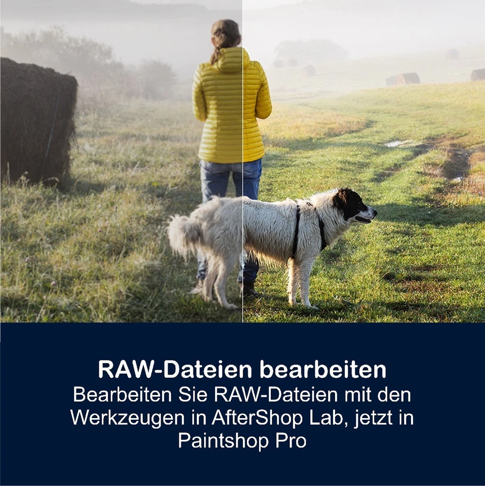 Corel PaintShop Pro 2023 Ultimate Vollversion 2 PC Dauerlizenz Download NEU - Bild 4 von 4