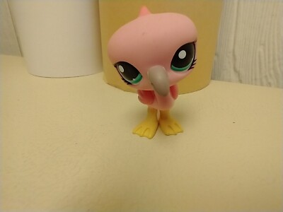 Little Pet Flamingo  2/6/24.