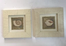 Sea Shell Wall Art Home Decor (set of 2)