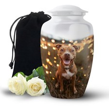 Pitbull Urn Unique Urns Human Ashes Adult 10inch Cremation Burial Decorative Urn
