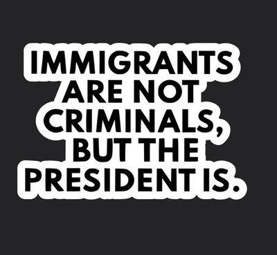 2'' Stickers Immigrants Aren't Criminals But Your President Is DONALD 5 Pack