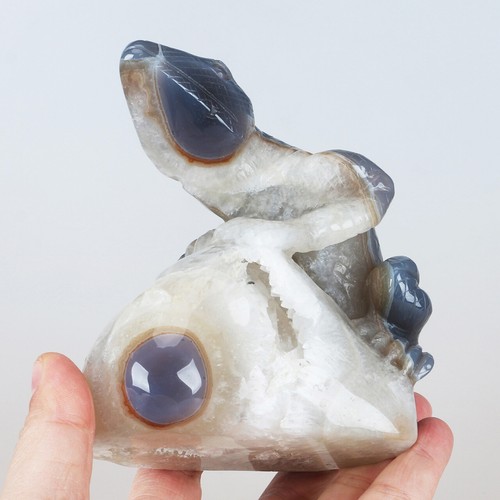 4.8" Natural Geode Agate Quartz Crystal Hand Carved Lizard Carving 989g - Picture 8 of 8