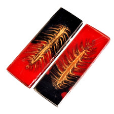 Custom Made Stabilized Pine Cones Resin Pair Scales For Knife Making Handle 2977