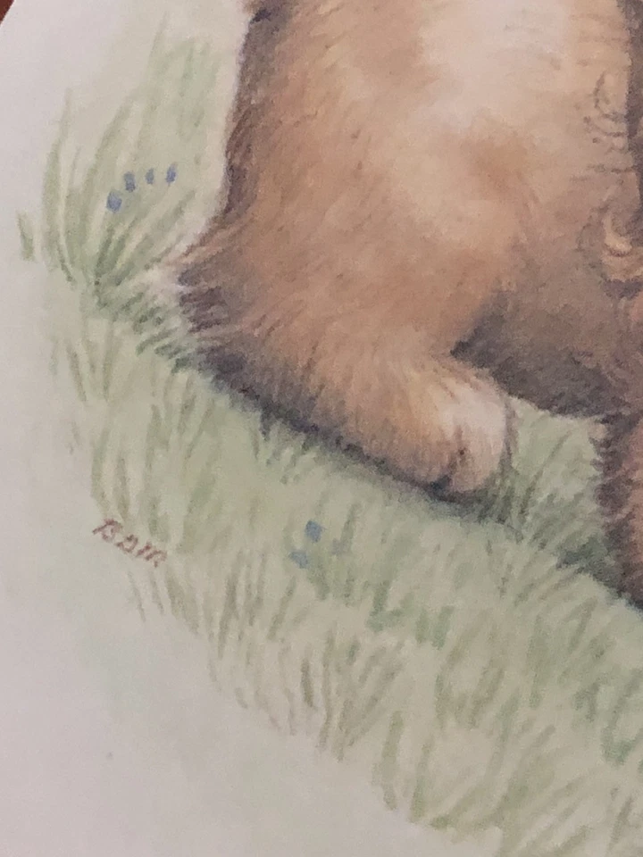 Bill Morehead Puppy Dogs Firefly Mushroom Blank Note Cards Set Of 10 Vtg 1980s - Image 3 of 4