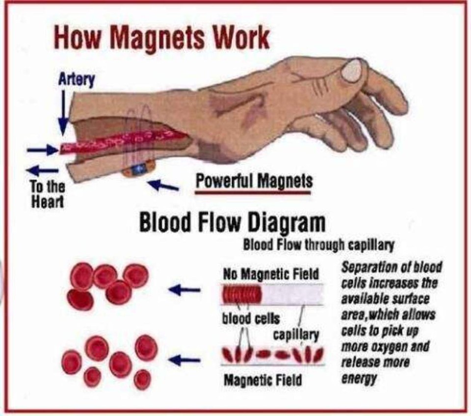 Stainless Steel Bracelet With Germanium eBay