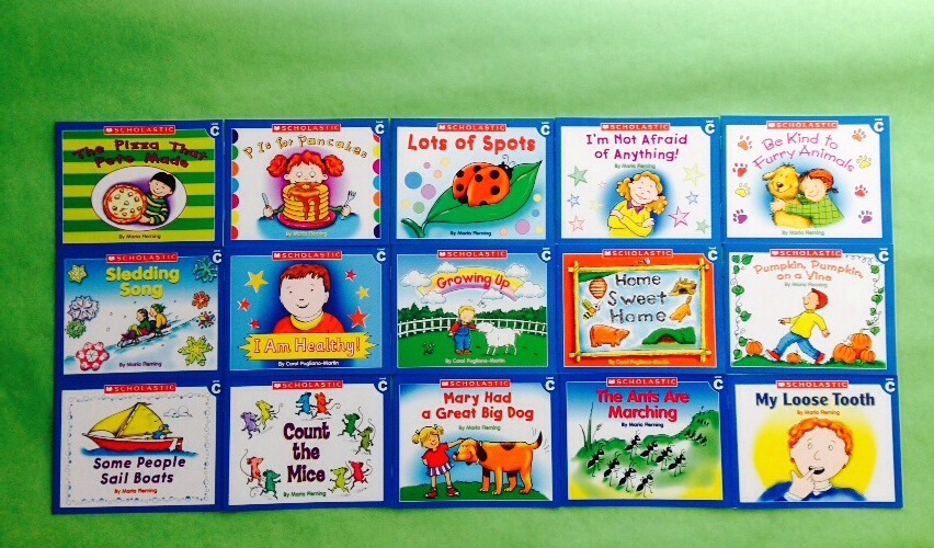 Lot 15 Level C Preschool Kindergarten Homeschool Learn to Read Books 