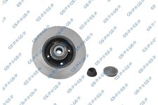 GSP 2x Bremsscheibe hinten voll für Renault Clio III BR0/1 CR0/1 KR0/1 F/JP0 