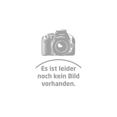 KW V1 Gewindefahrwerk Audi S6 RS6 C5 4B Fahrwerk Gewinde Gepfeffert Quattro
