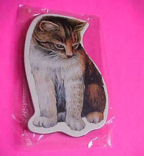 Adorable Kitten Cat  Fridge Magnet