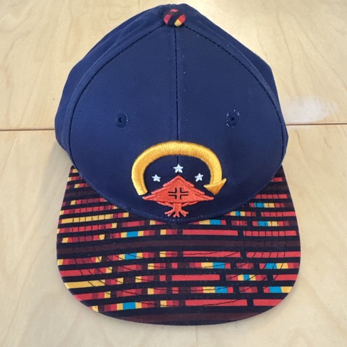 LRG VINTAGE Hat #LRG