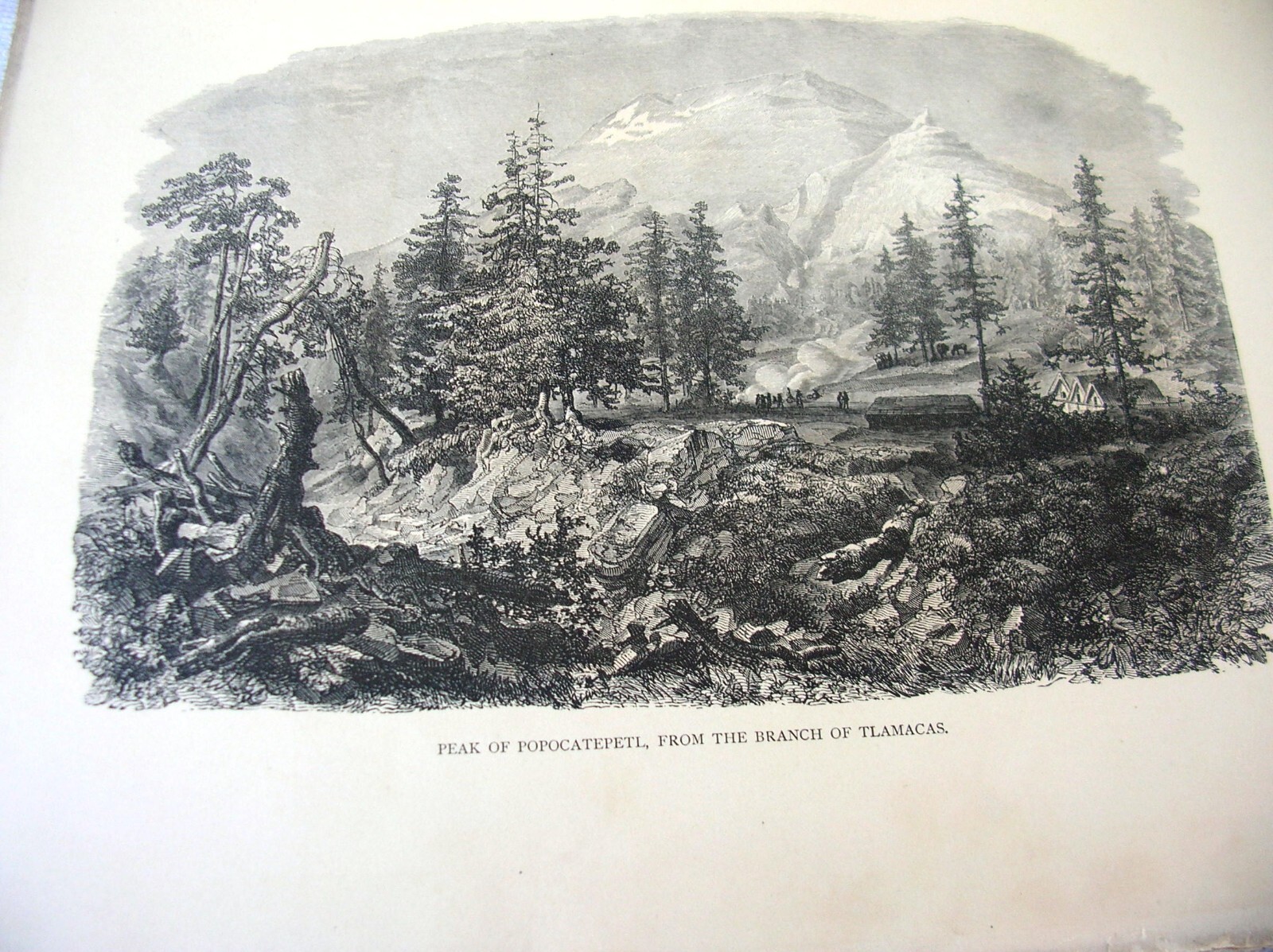 Picture 5 of 13