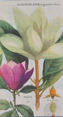 TWO Individual Napkins Magnolia Flowers Guest Towel Decoupage (610)