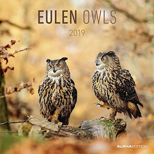 9783840791093 Calendario da muro „Gufi“ 2019 30x30 cm - Alpha Edition