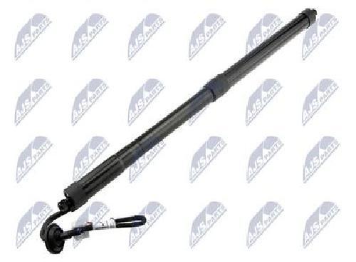 Original NTY Electric Motor Tailgate AE-NS-025 For Nissan