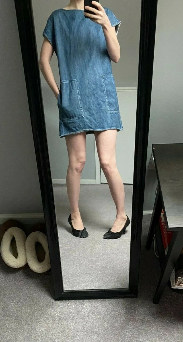 Wilfred free store denim dress
