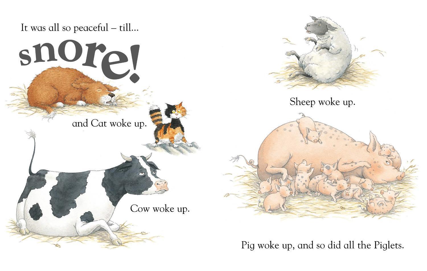 Thumbnail - Snore | A Noisy Night For Dozy Dog | Michael Rosen | Taschenbuch | O.
