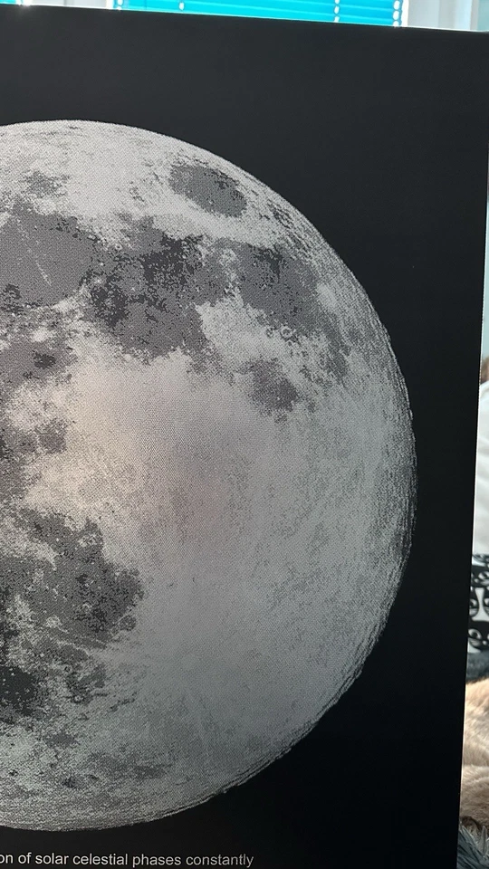 IKEA Mondphase  PJÄTTERYD Bild, Leinwand Voll Mondlicht, 50x70cm Rahmen Mond - Bild 3 von 4