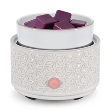 Electric Wax Melt Warmer 4-in-1 Candle Warmer for Scented Wax Melter Cute Cer...