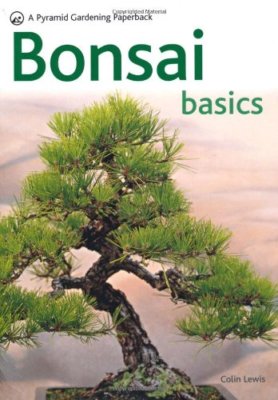 Bonsai Basics - A Comprehensive Guide to Care and Cultivation: A