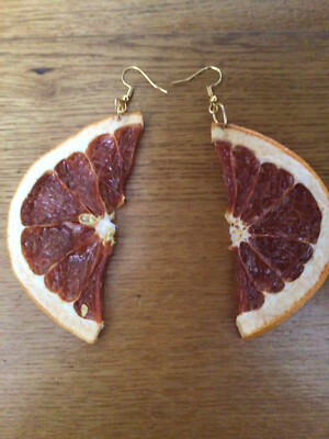 Dried fruit,grapefruit real fruit earrings, quirky, organic
