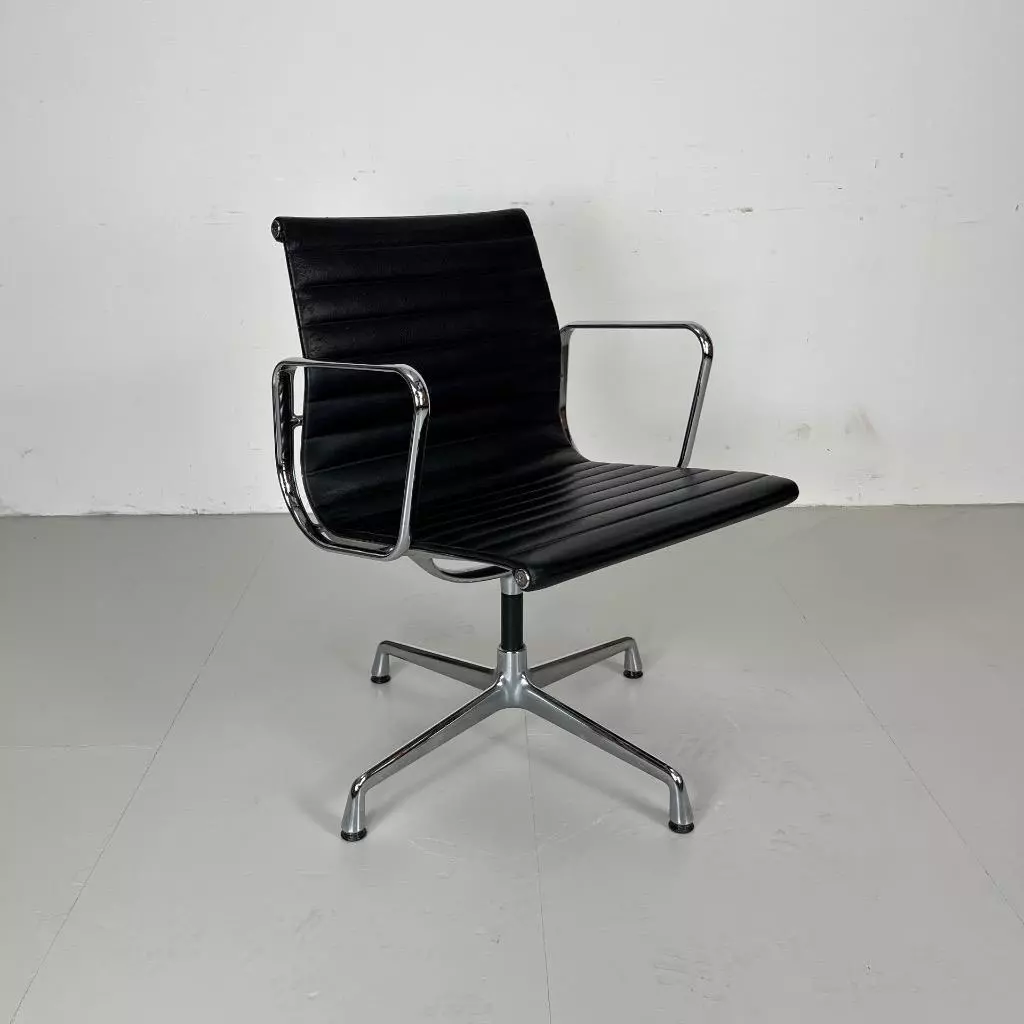 Eames 2024 meeting chair