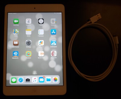 Apple iPad mini 1st Generation