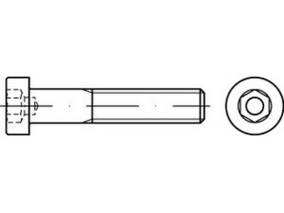 10 x Zylinderschrauben mit Innensechskant,niedrig DIN 6912 A 4 M 16 x 25 A 4 VES