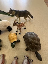 Safari Ltd Animal Lot