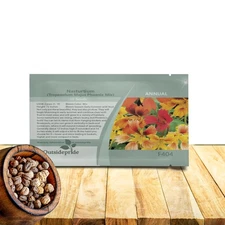 Phoenix Mix Nasturtium Seeds - 25 Pcs Annual, Easy to Grow & Versatile, Flowe...